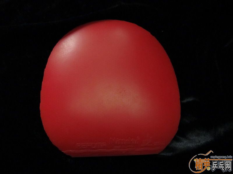 ���˳�������V��Hammond��refoma����ʡ���޻�ʡ��