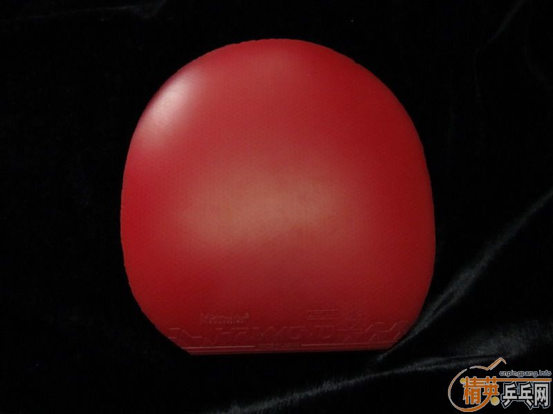 ���˳�������V��Hammond��refoma����ʡ���޻�ʡ��