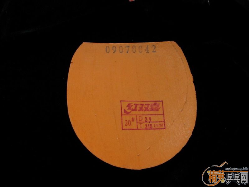 ���˳�������V��Hammond��refoma����ʡ���޻�ʡ��