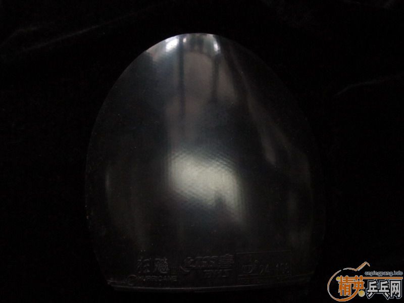 ���˳�������V��Hammond��refoma����ʡ���޻�ʡ��