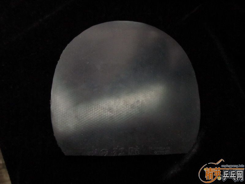 ���˳�������V��Hammond��refoma����ʡ���޻�ʡ��