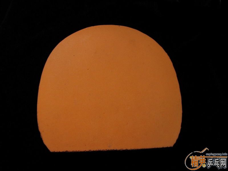 ���˳�������V��Hammond��refoma����ʡ���޻�ʡ��