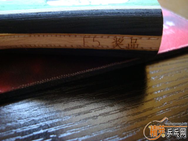 [�Ƽ�]�������ӱ���˦��  ����E5+�칭+��������רҵ��