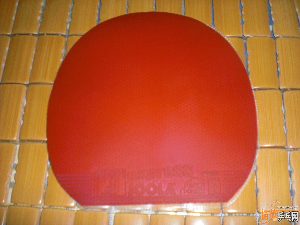 �����������׽�