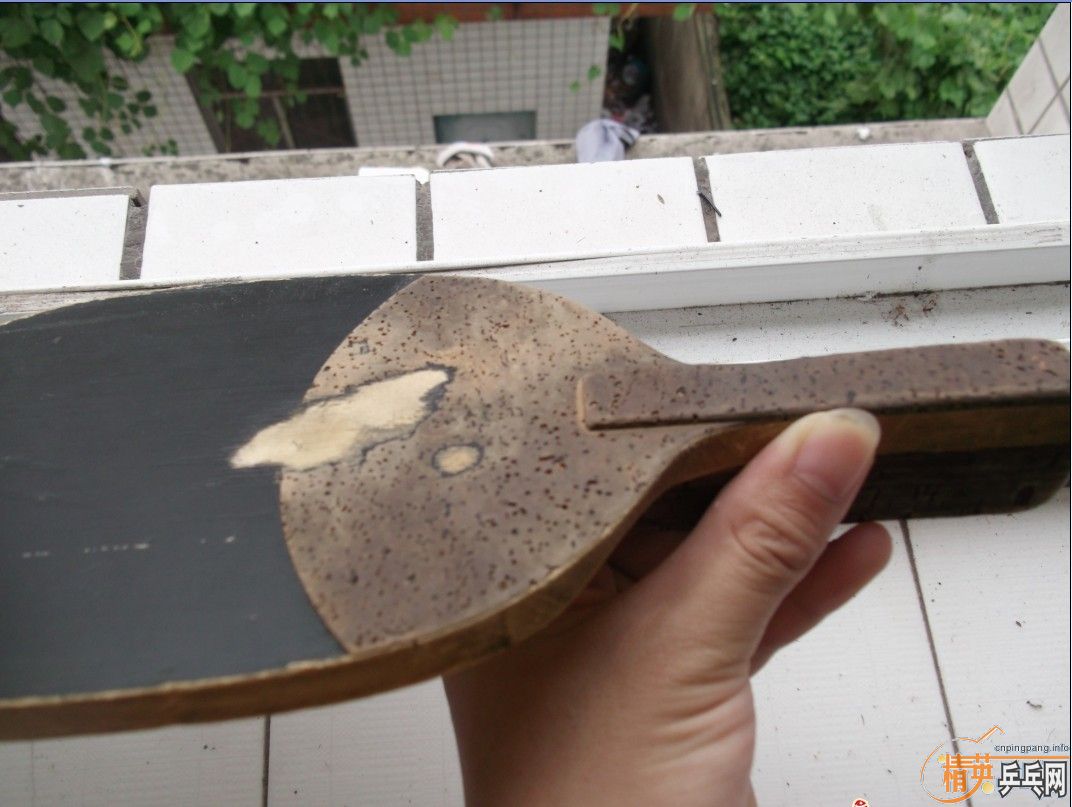 ����������ʽ��������~~~