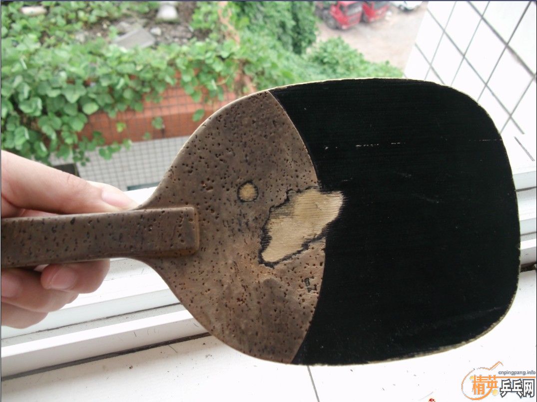 ����������ʽ��������~~~