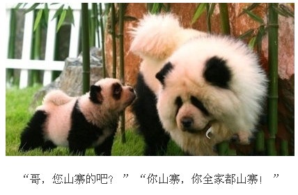 û������������2��������ע��Ҫ��