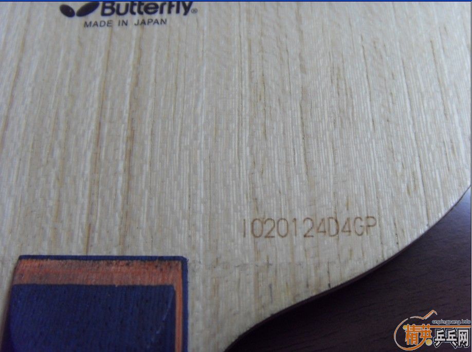 BOOL�����ó���������3�Ϻ��ࣨ9�£��ӽ�����V��9.8�£�