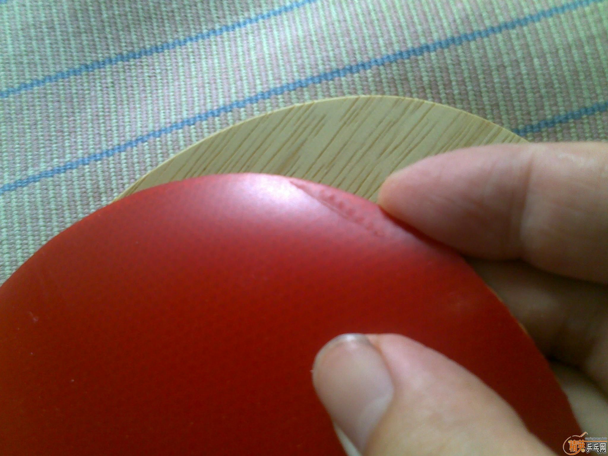 ��ֹ�ճ���Ʒ����innerfores-alc��st����һ����ɫel2.1mm��