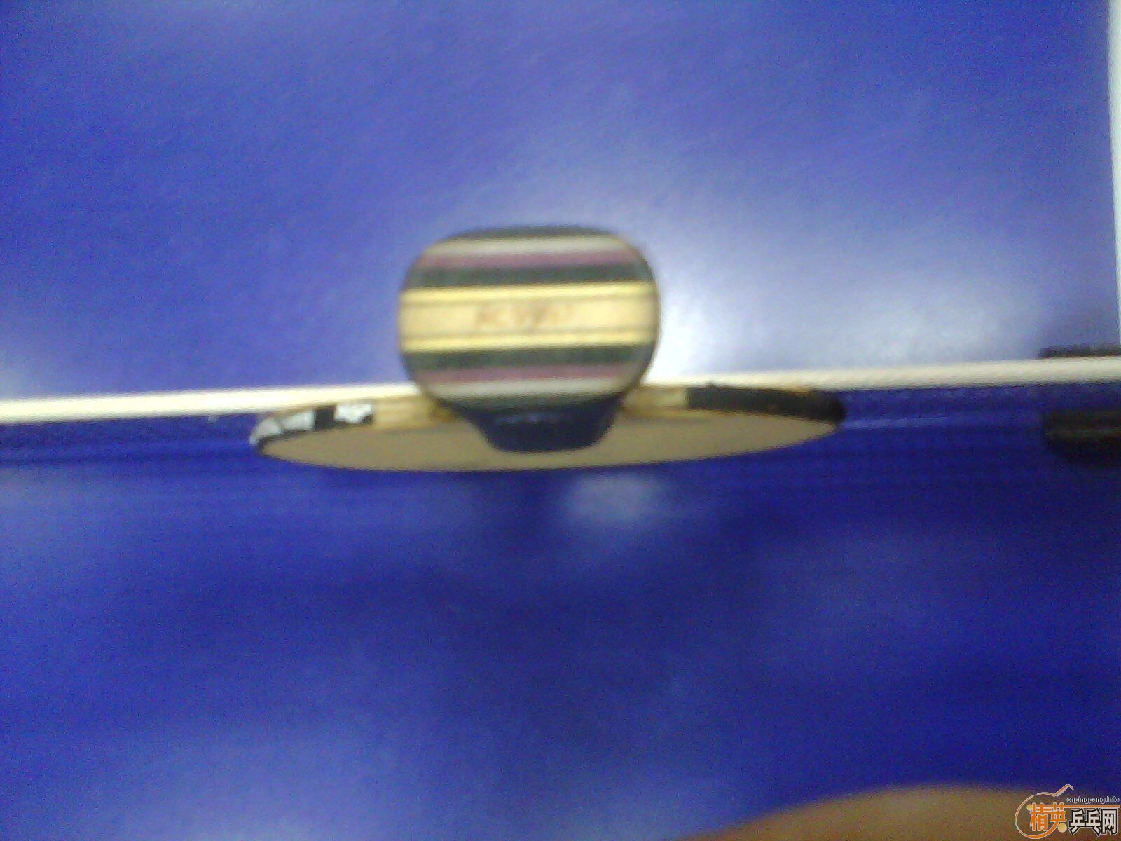 500�����ó�FL�л�����̼��600�����ó�����˹��ͼ