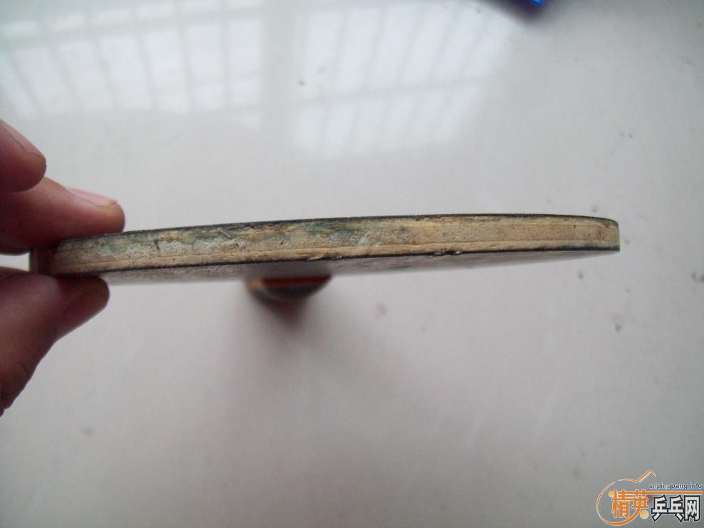 ˹�ٿ� TC.TO.EG.����˺�ɫ������560�����