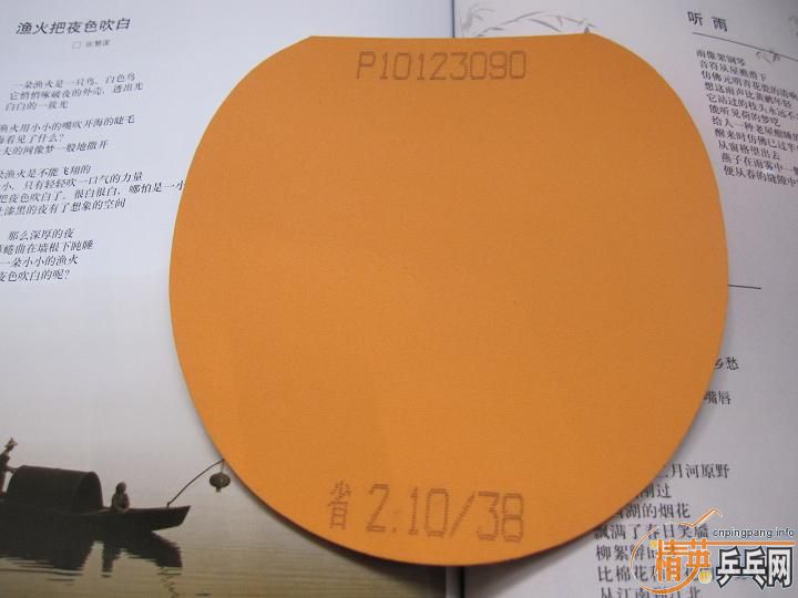 ~~~~~~ ʡ�� + ���� ~~~~~~