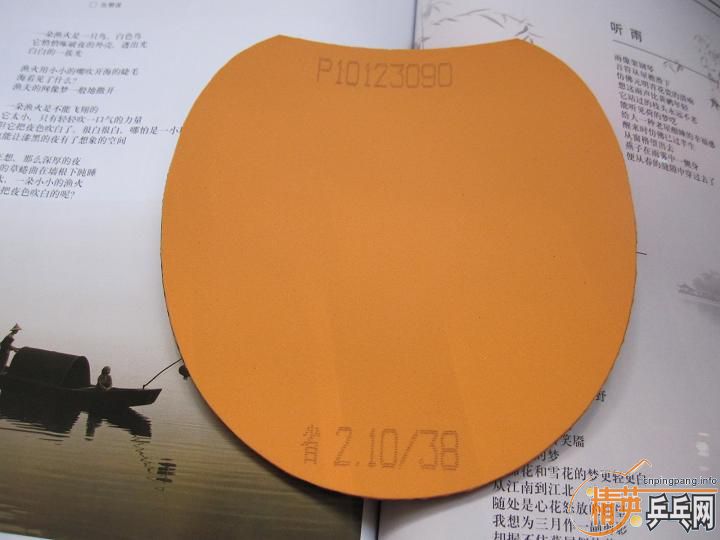 ~~~~~~ ʡ�� + ���� ~~~~~~