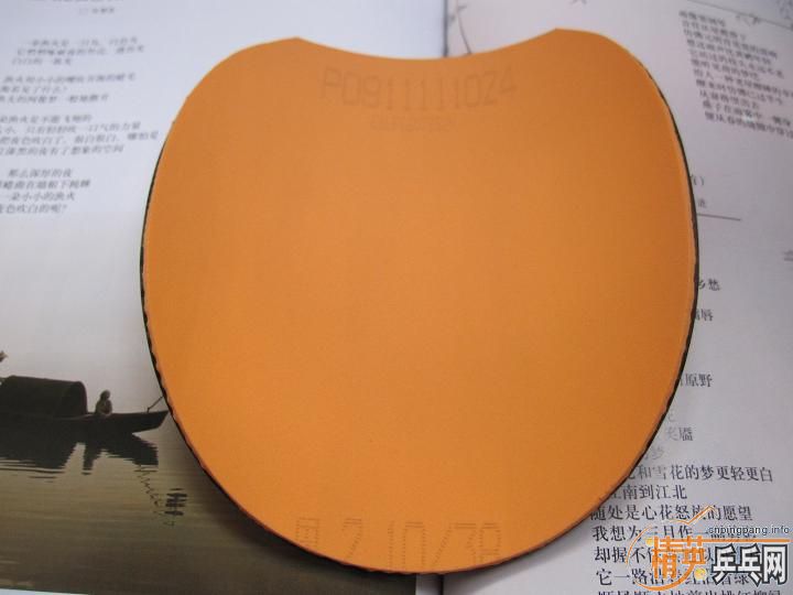 ~~~~~~ ʡ�� + ���� ~~~~~~