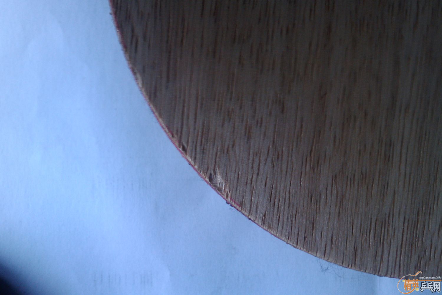 [ԭ��]DONIC ��ķ 200 ���� �� �� Ҫ  ��