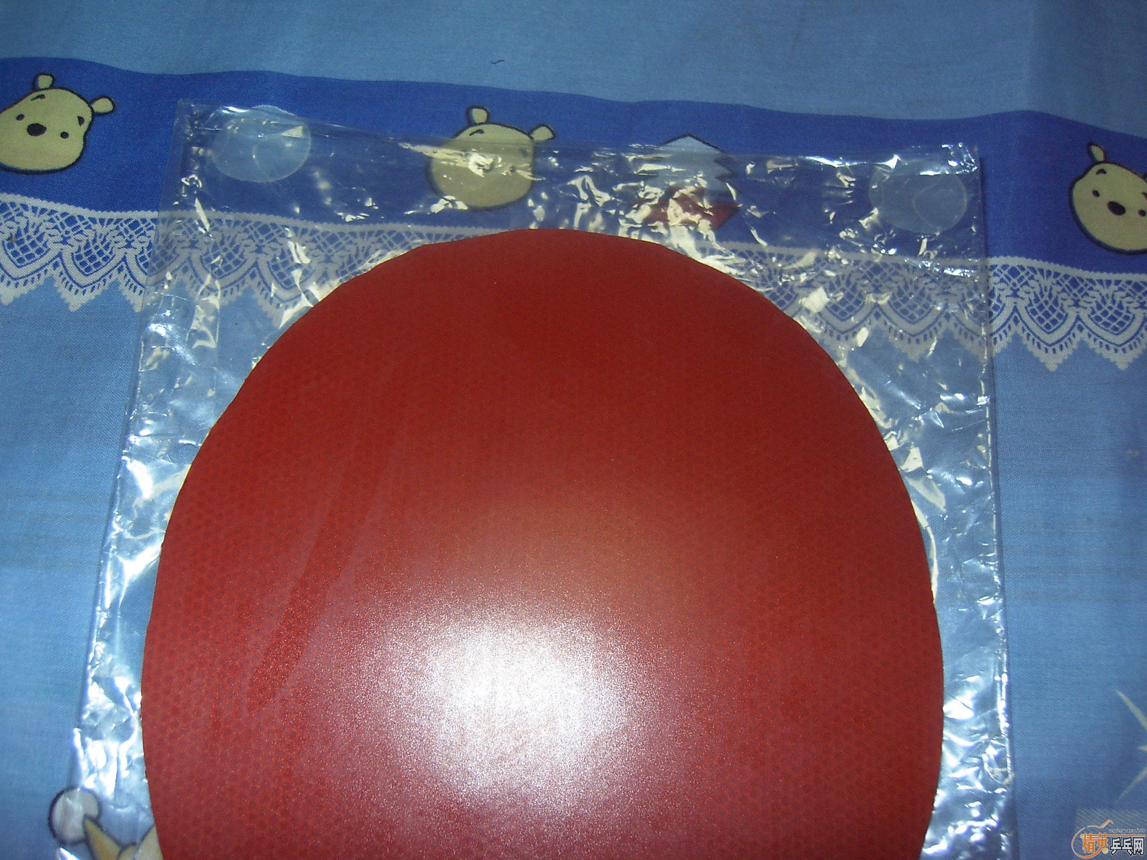 ����רҵ�� 37�� ��  ͦ��VIP�� ��������2��