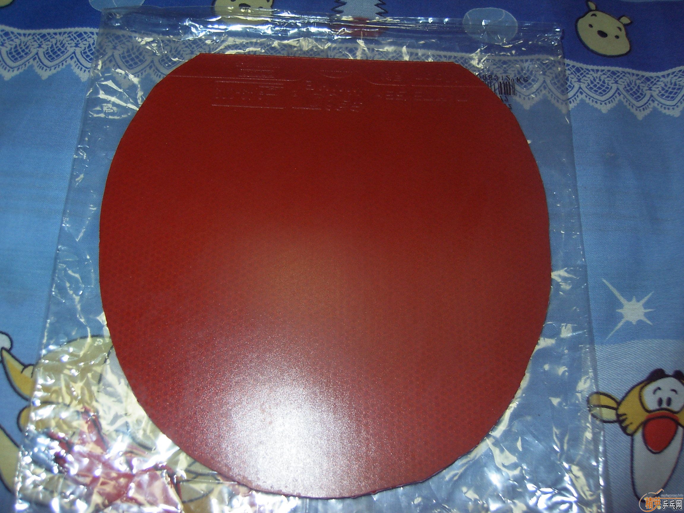 ����רҵ�� 37�� ��  ͦ��VIP�� ��������2��