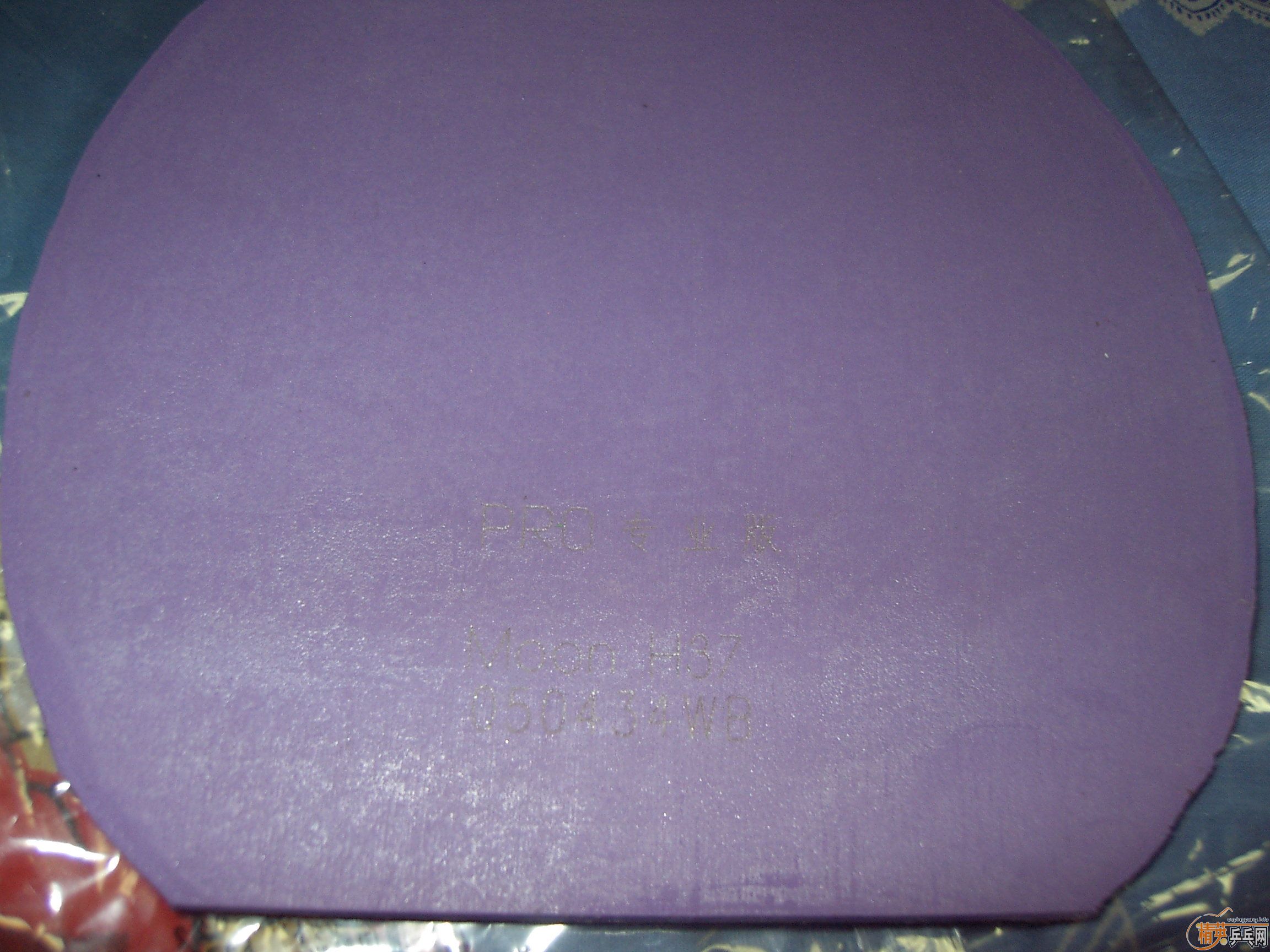 ����רҵ�� 37�� ��  ͦ��VIP�� ��������2��