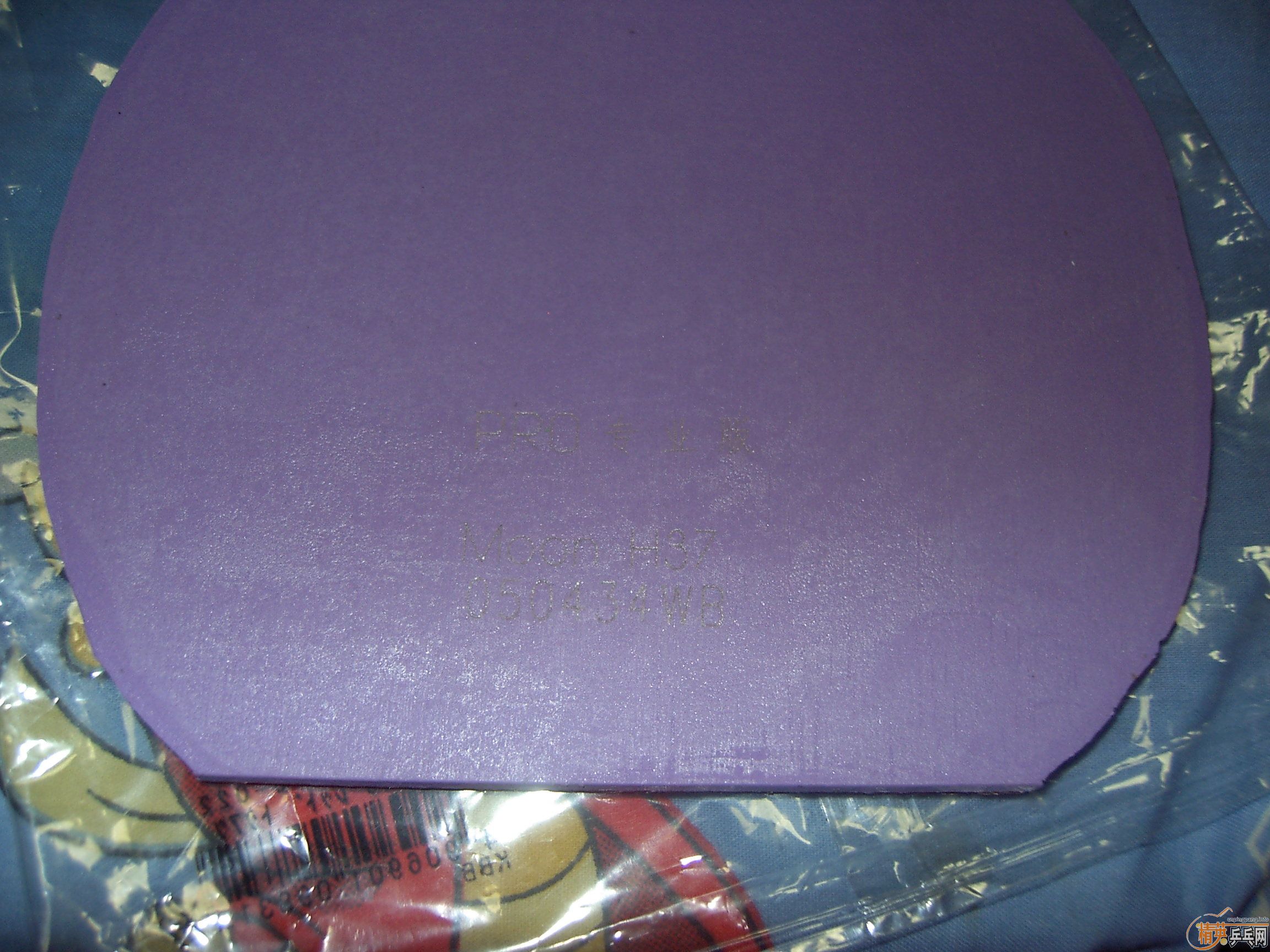 ����רҵ�� 37�� ��  ͦ��VIP�� ��������2��