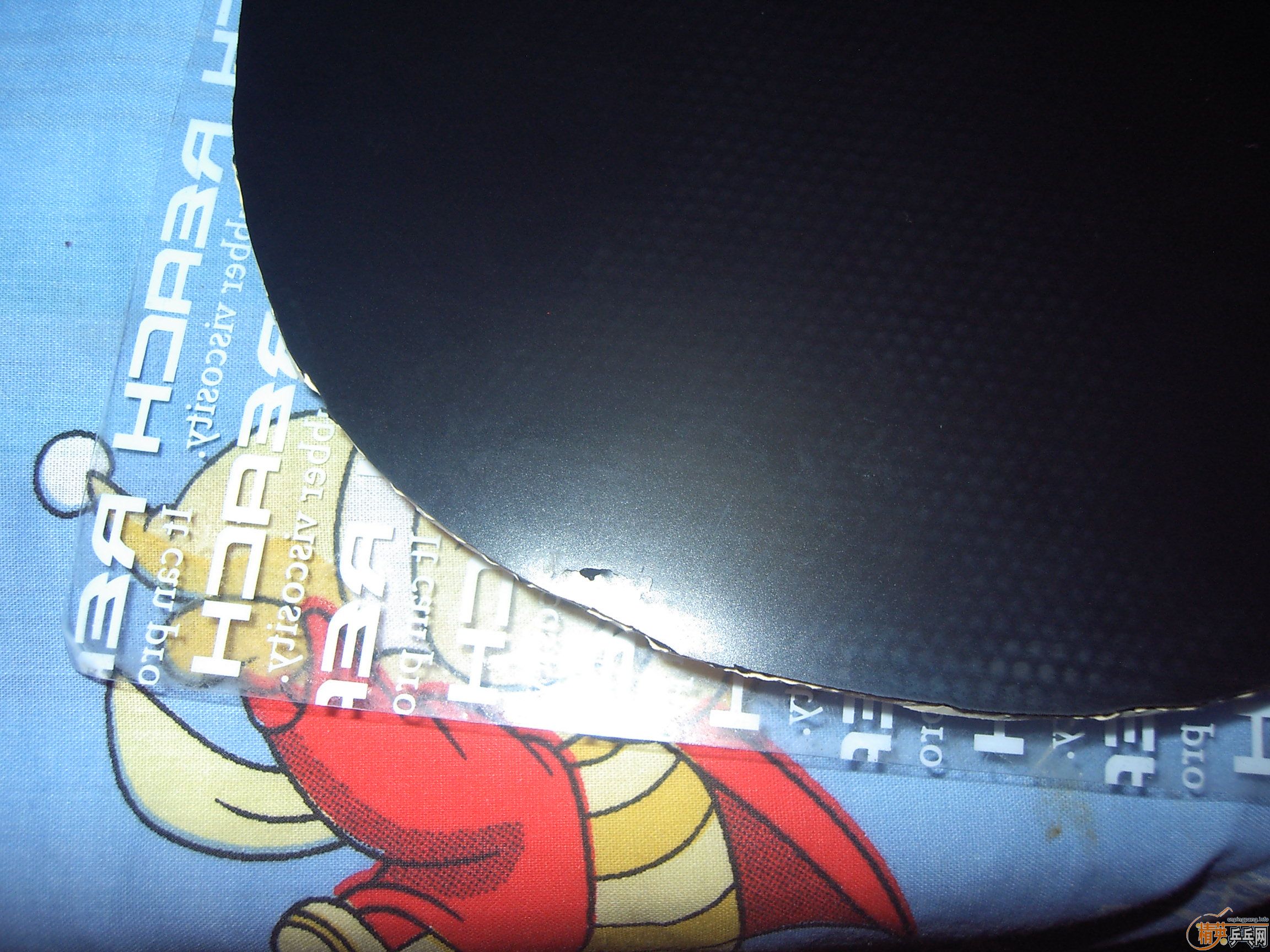 ����רҵ�� 37�� ��  ͦ��VIP�� ��������2��