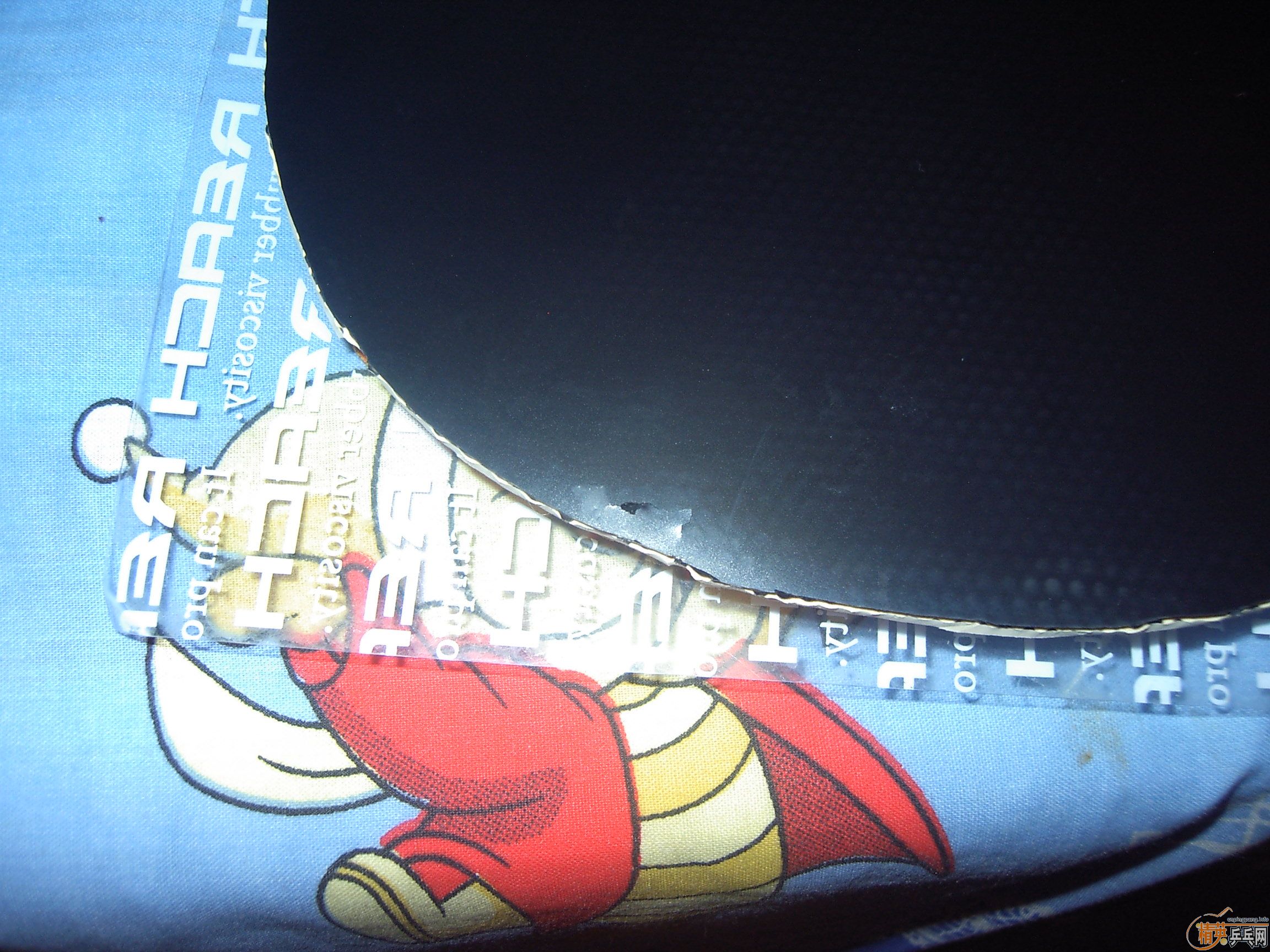 ����רҵ�� 37�� ��  ͦ��VIP�� ��������2��