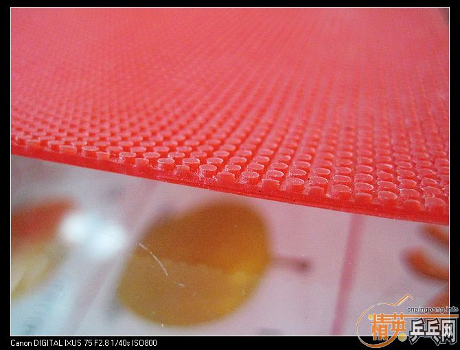 ����Ƥճ����ʾ