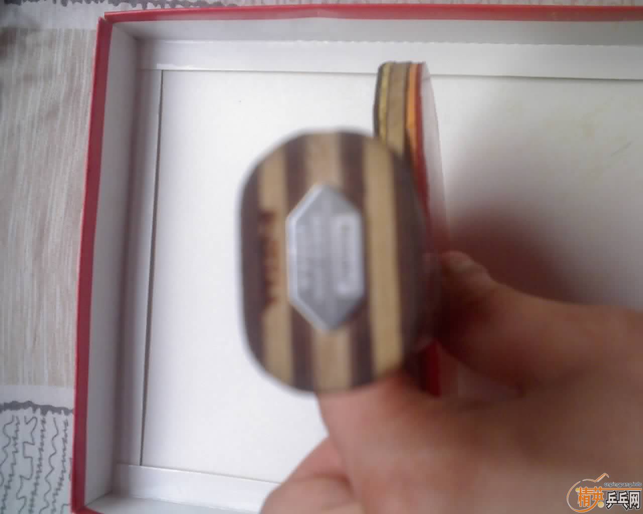 �����»����֣����ɰ�EG��rutis