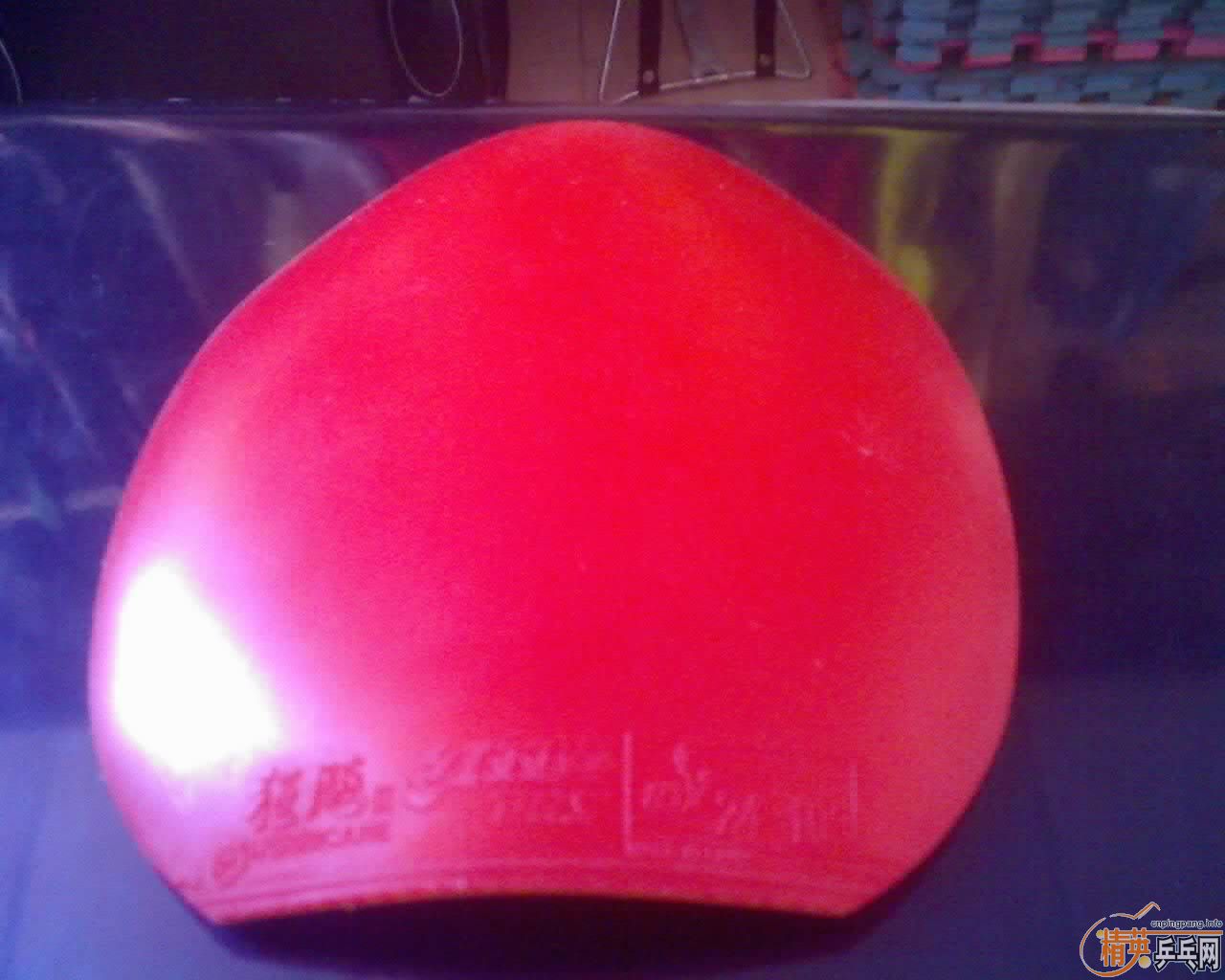 �����»����֣����ɰ�EG��rutis