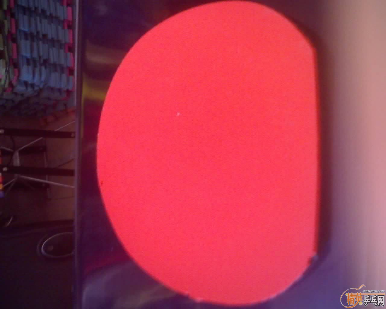 �����»����֣����ɰ�EG��rutis