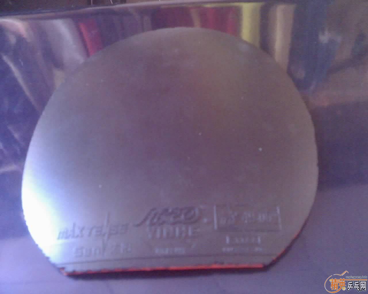 �����»����֣����ɰ�EG��rutis