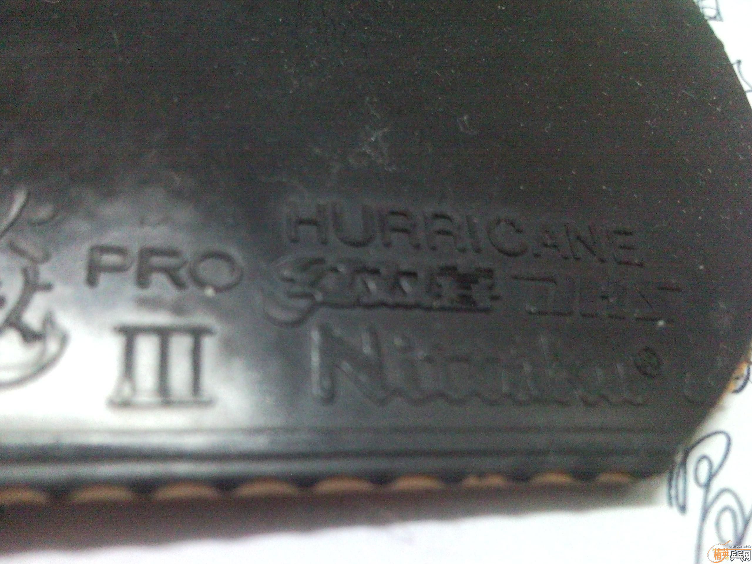 ��һ�Ž�Ƥ�����������Ľ�������