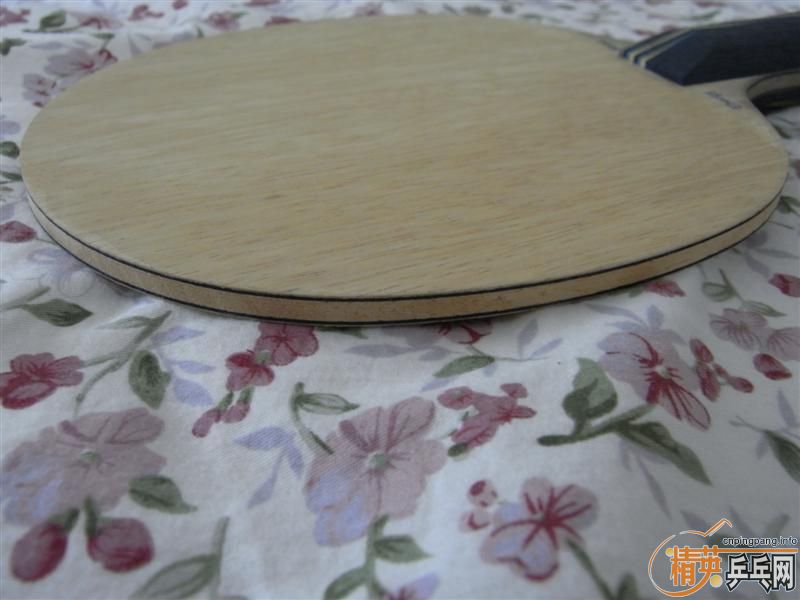 �л�EG91G ����