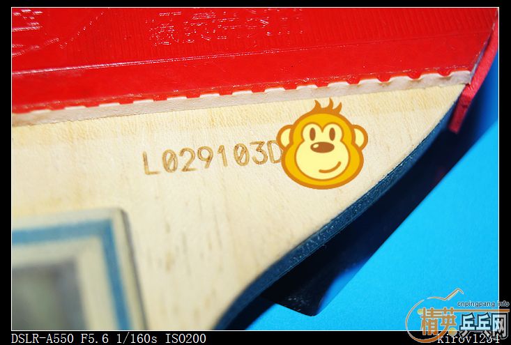 [ͼ]Ҳɹ20060