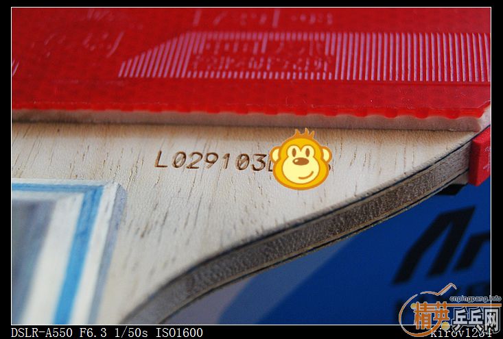 [ͼ]Ҳɹ20060