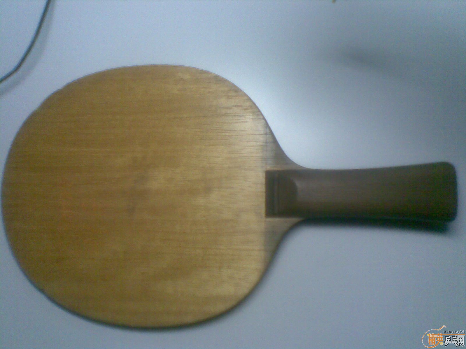 ��������������רҵ����������550����