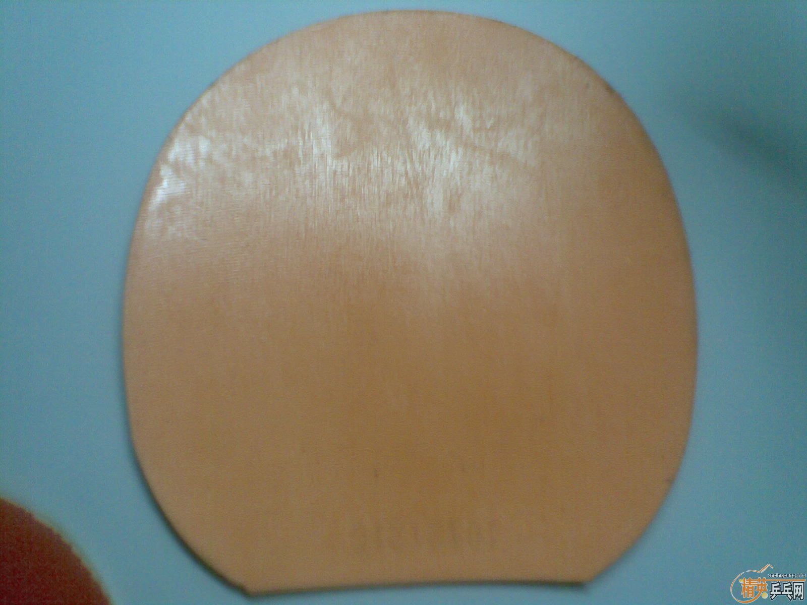 ��������������רҵ����������550����