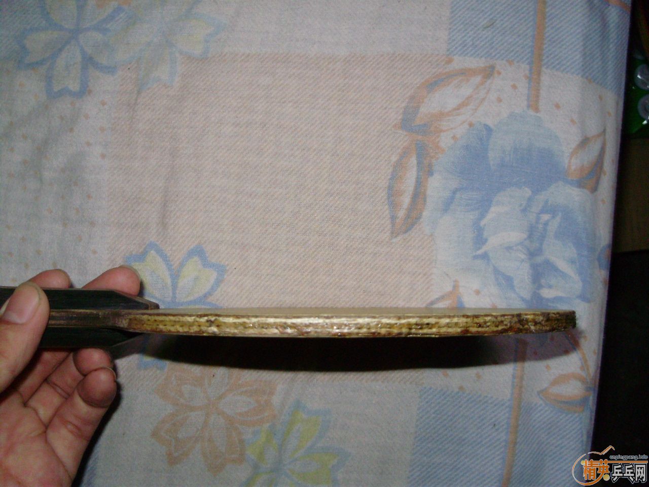 [�Ƽ�]��������17��.265����