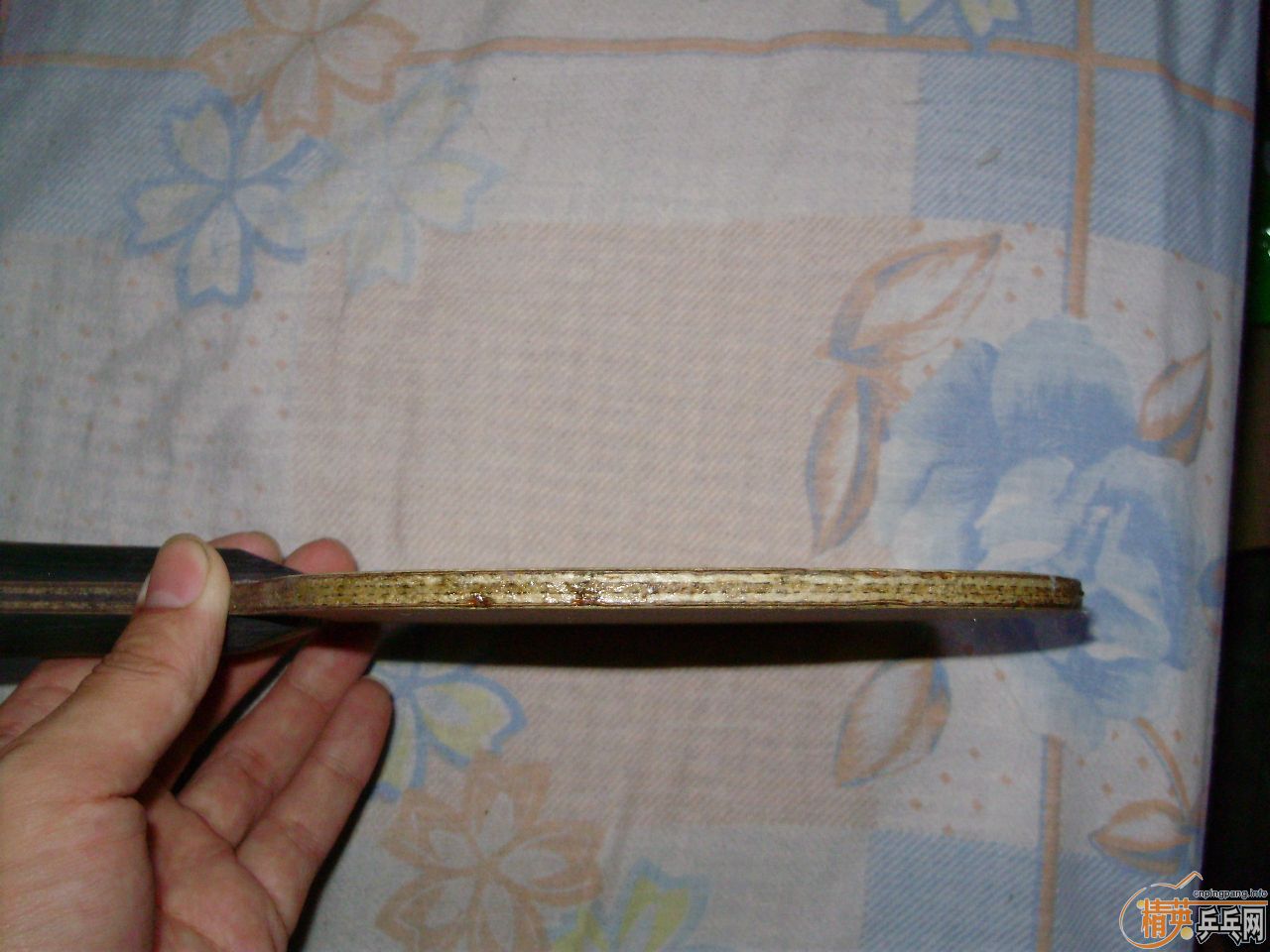 [�Ƽ�]��������17��.265����