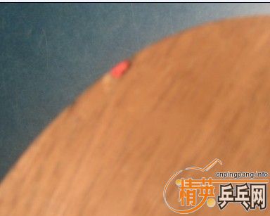 ��������ͬ��󽵼۳�������