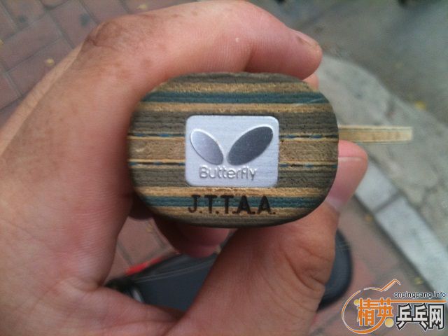 -     viscaria_______-->qupiterת