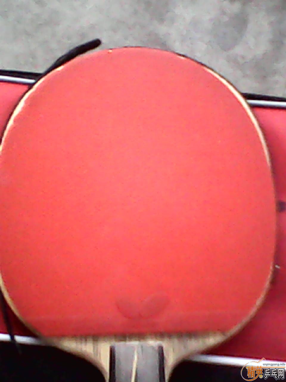 [ԭ������Ӣ������������̼����ͺ�ڸ�һ��