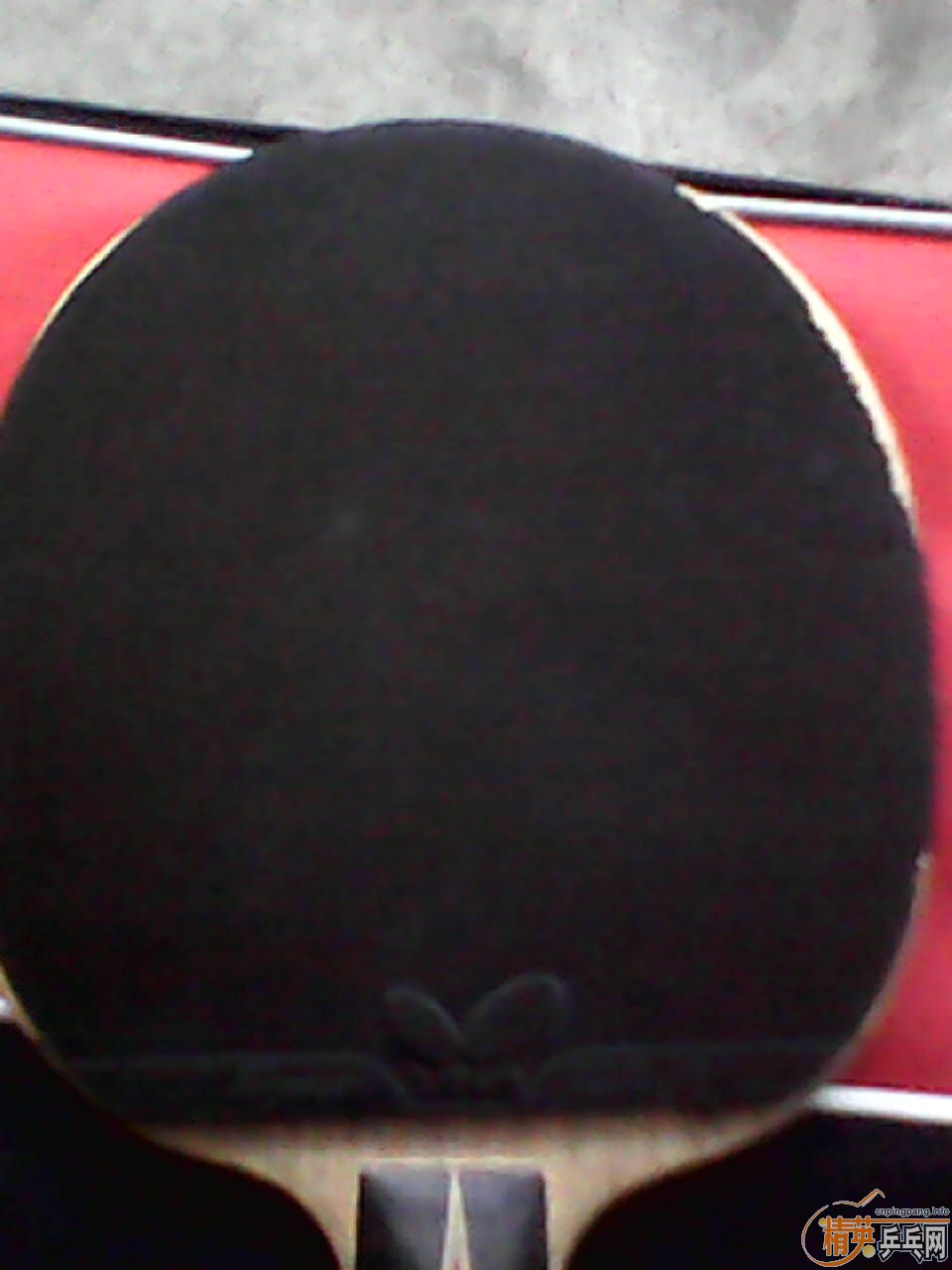 [ԭ������Ӣ������������̼����ͺ�ڸ�һ��