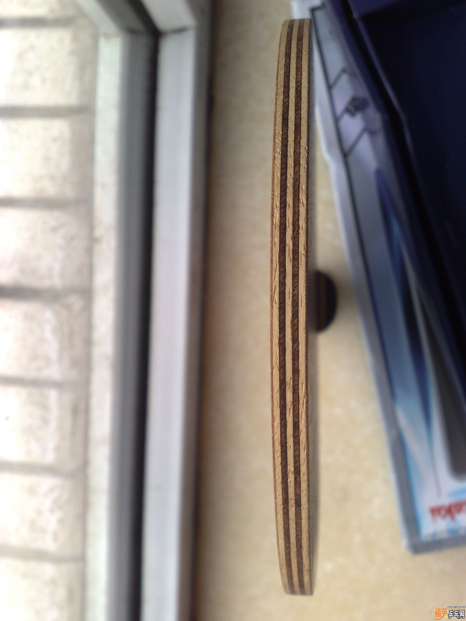 ���˦�� ������С�� �������� �������