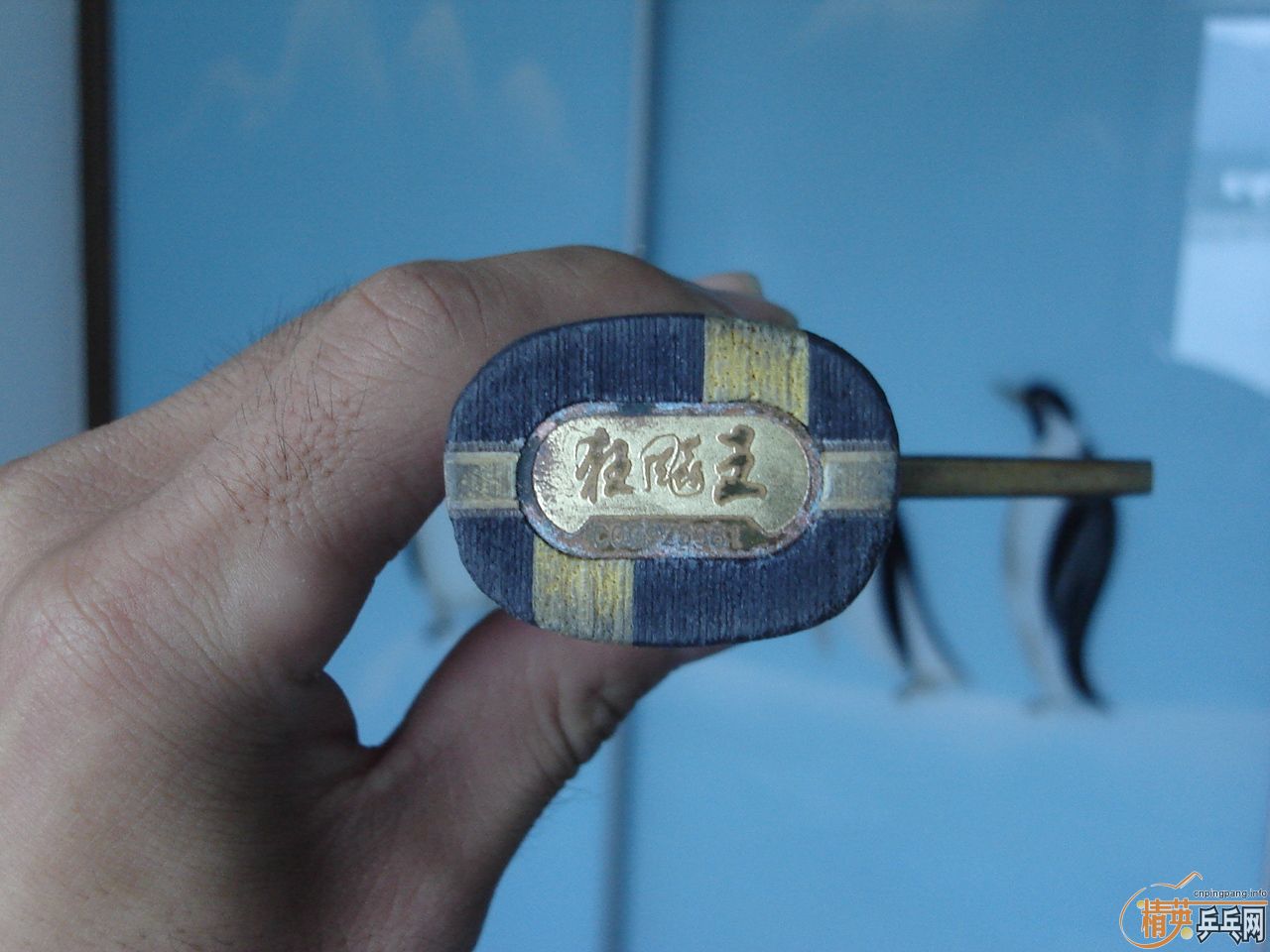 [ԭ��]09���Ŀ�����ֱ�İ��ӣ��������