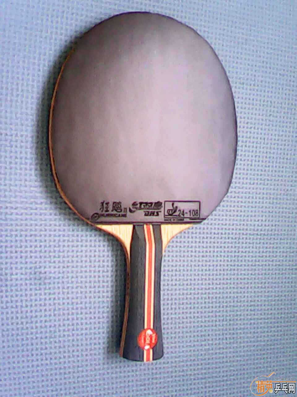 [ԭ��] JOOLA ����VIVA