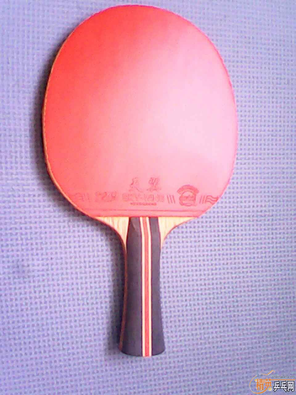 [ԭ��] JOOLA ����VIVA