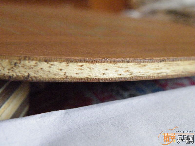 ���������ղ�Ʒ