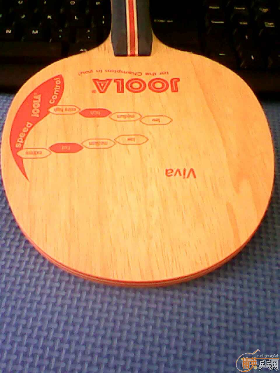 [ԭ��] JOOLA ����VIVA