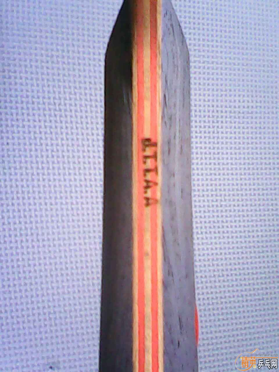 [ԭ��] JOOLA ����VIVA