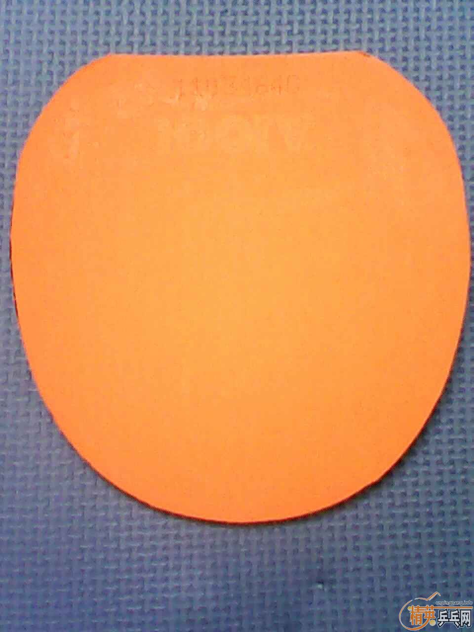 [ԭ��] JOOLA ����VIVA